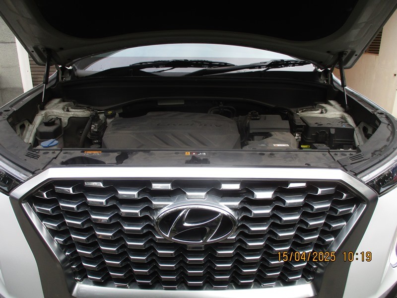 2022 Hyundai Palisade 2022 Hyundai Palisade