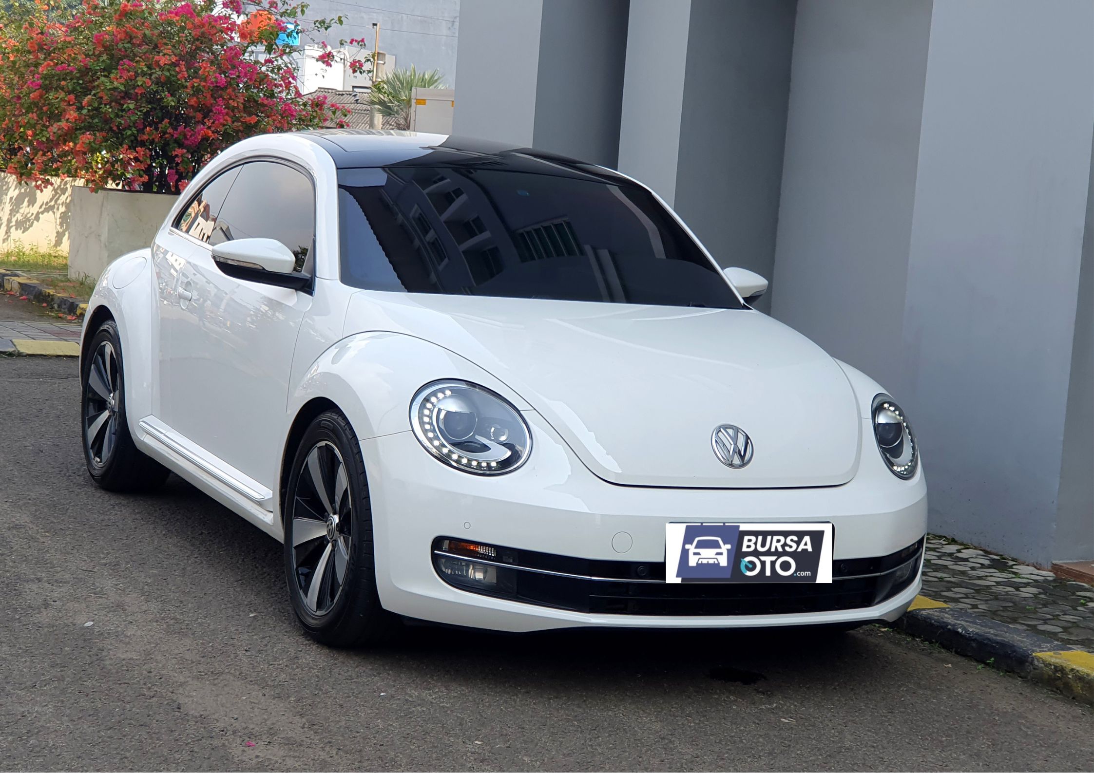 2013 Volkswagen Beetle 2013 Volkswagen Beetle