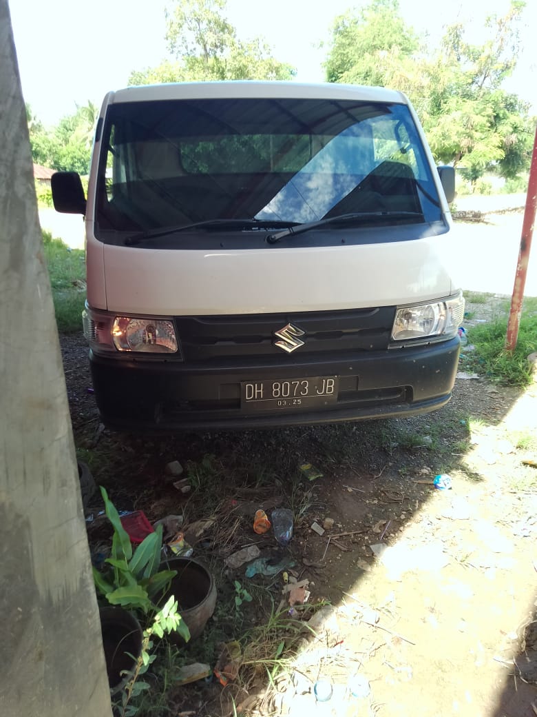 2019 Suzuki Carry 2019 Suzuki Carry