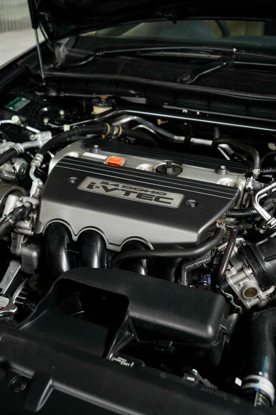 2010 Honda Accord 2010 Honda Accord