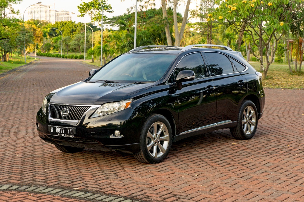 2010 Lexus RX 350 2010 Lexus RX 350