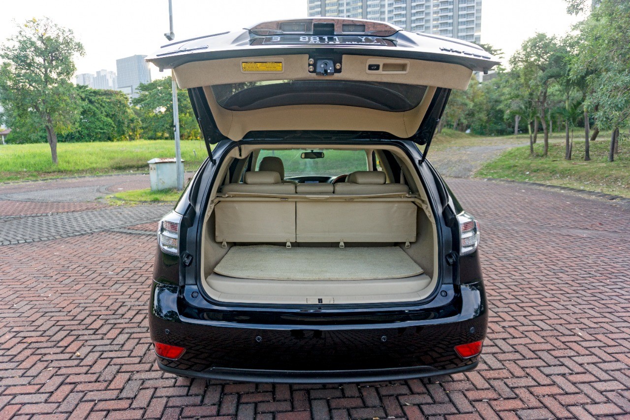 2010 Lexus RX 350 2010 Lexus RX 350