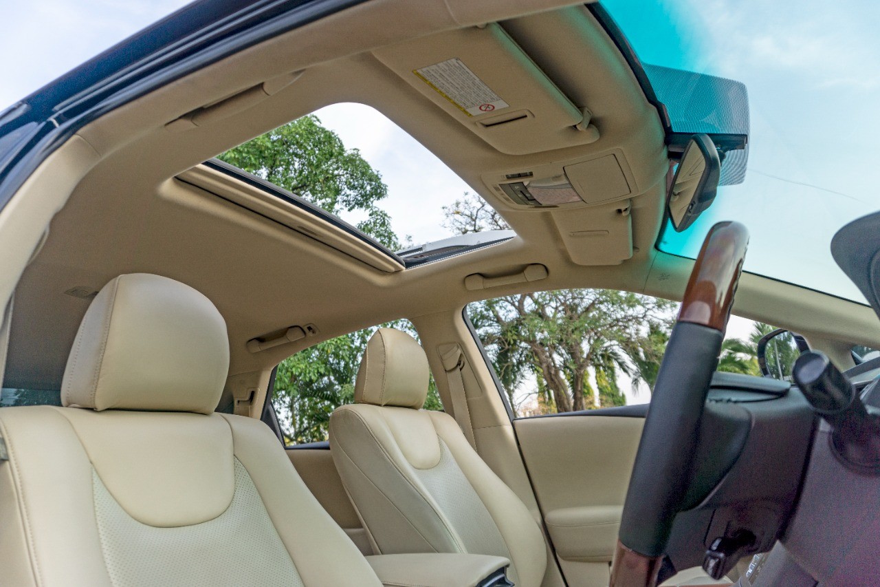 2010 Lexus RX 350 2010 Lexus RX 350