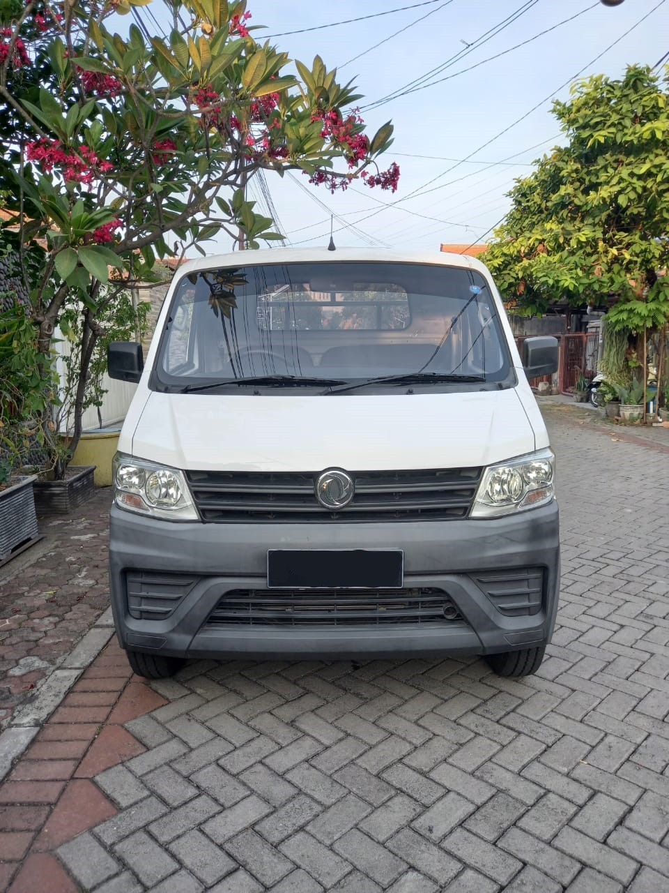 2019 DFSK Supercab 2019 DFSK Supercab