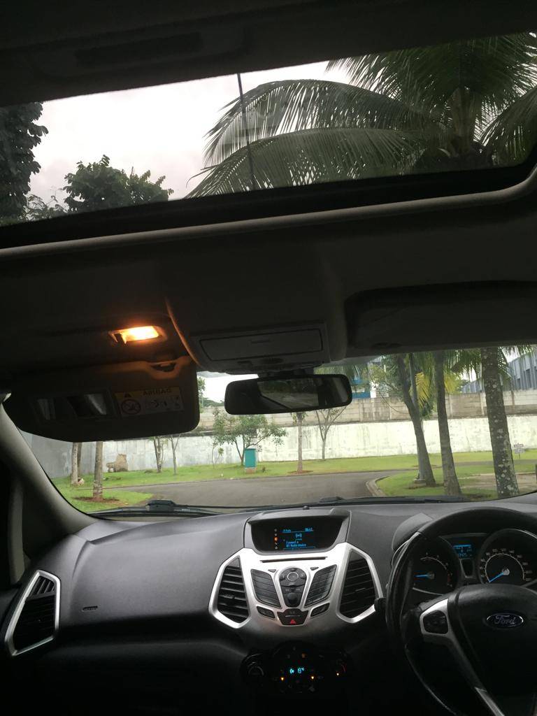 2014 Ford Ecosport 2014 Ford Ecosport