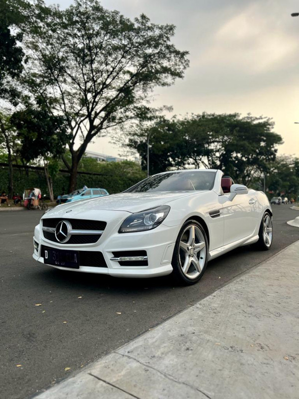 2014 Mercedes Benz SLK-Class 2014 Mercedes Benz SLK-Class
