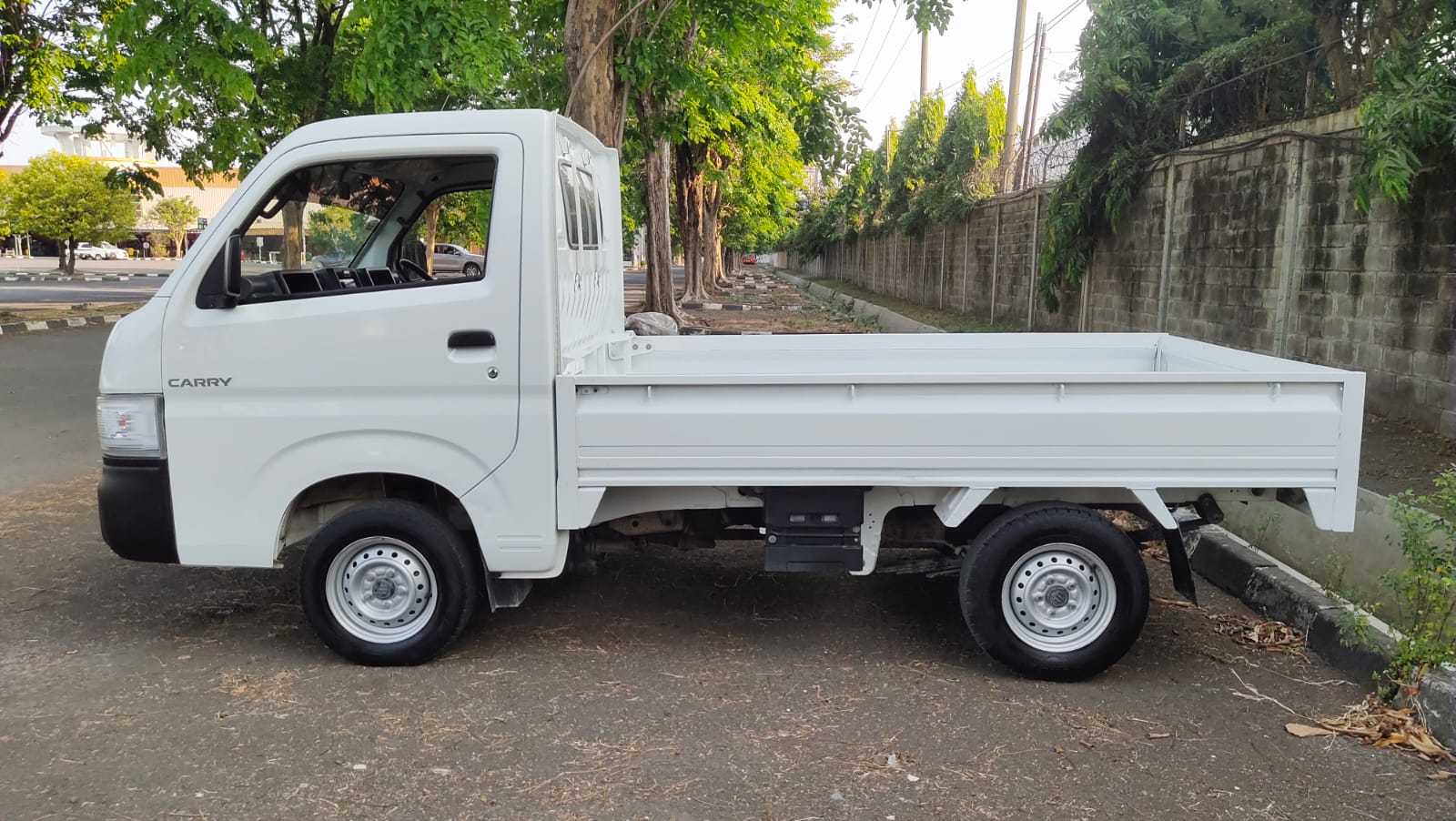 2022 Suzuki Mega Carry 2022 Suzuki Mega Carry