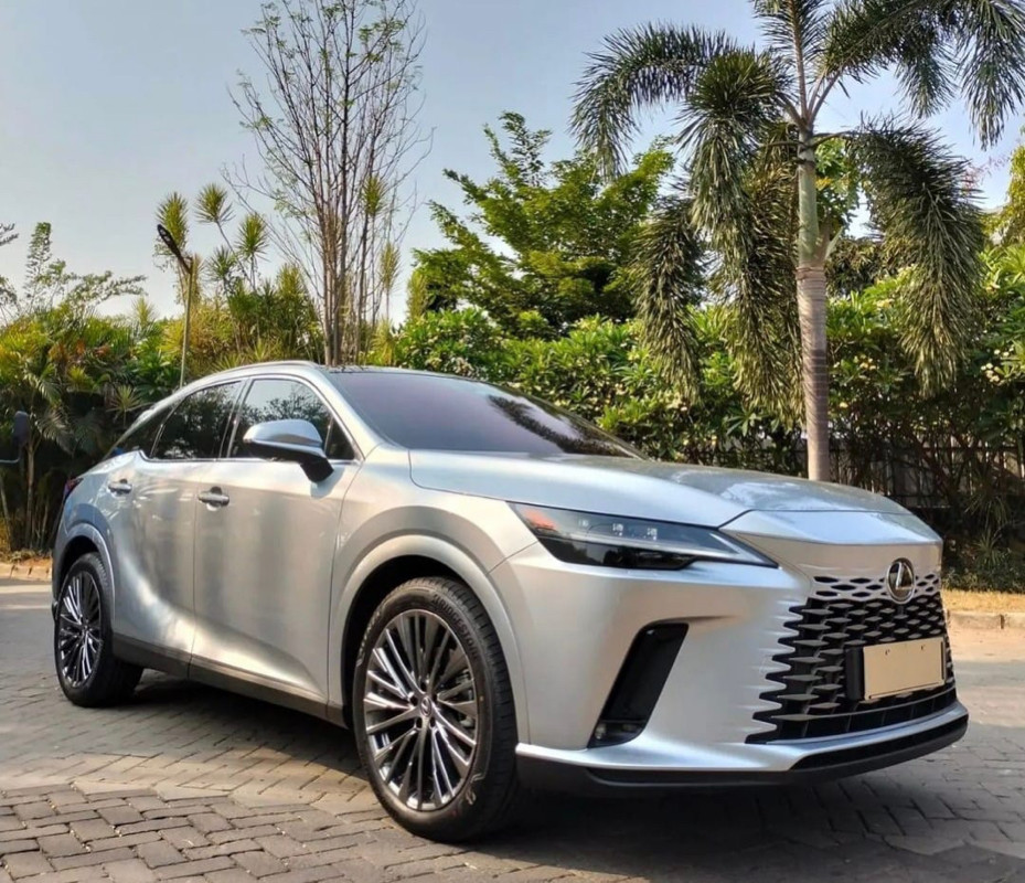 2023 Lexus RX 2023 Lexus RX
