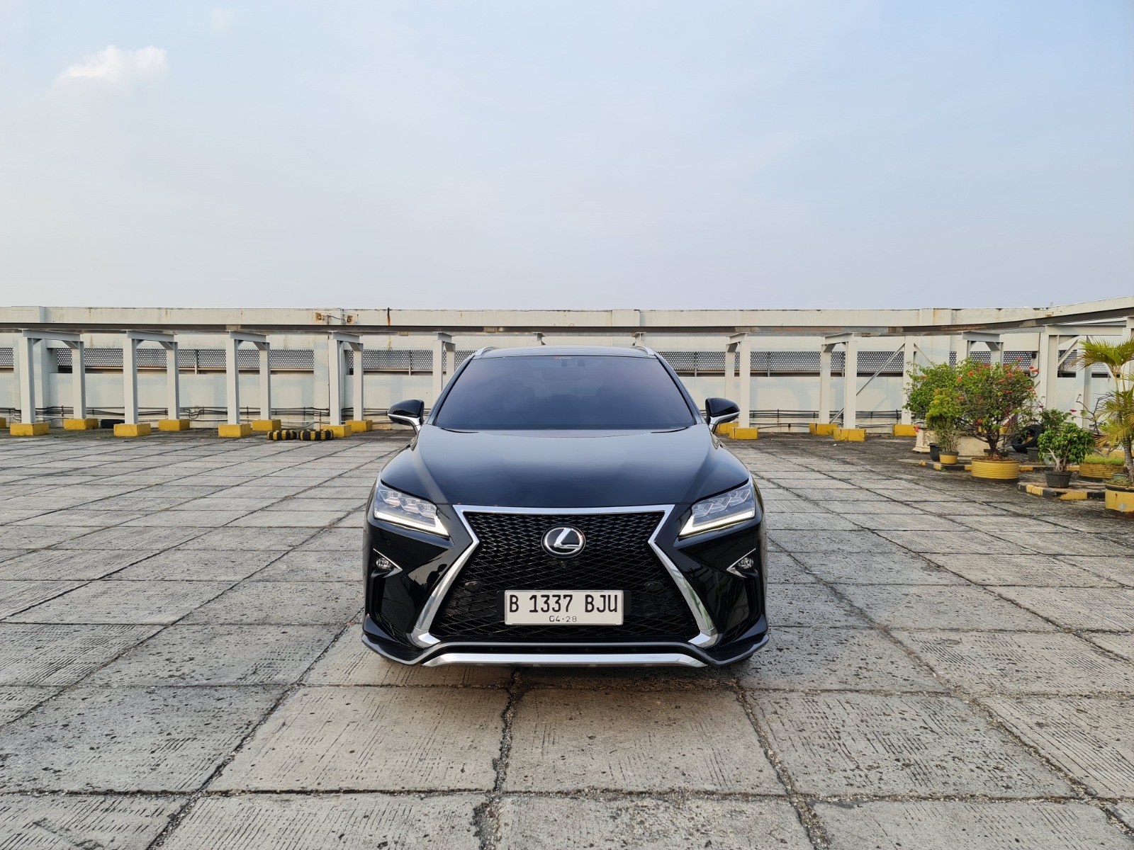 2018 Lexus RX 2018 Lexus RX