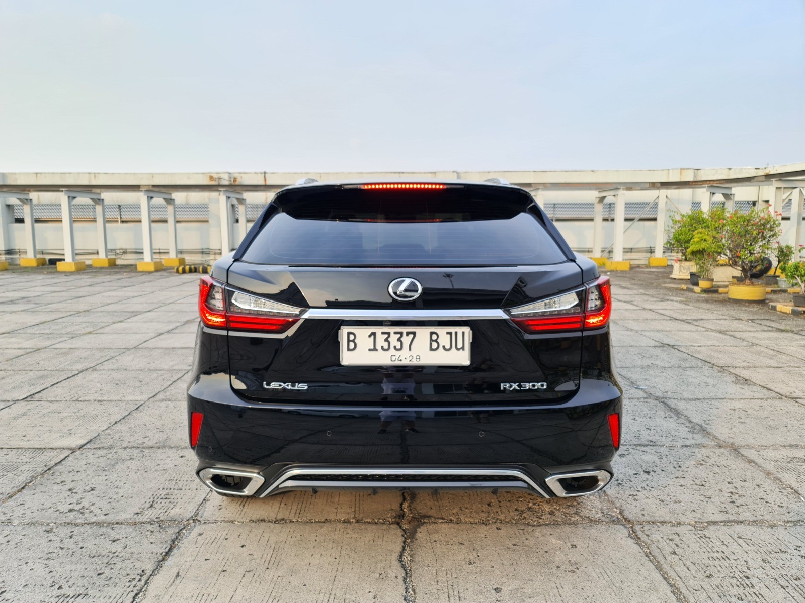 2018 Lexus RX 2018 Lexus RX