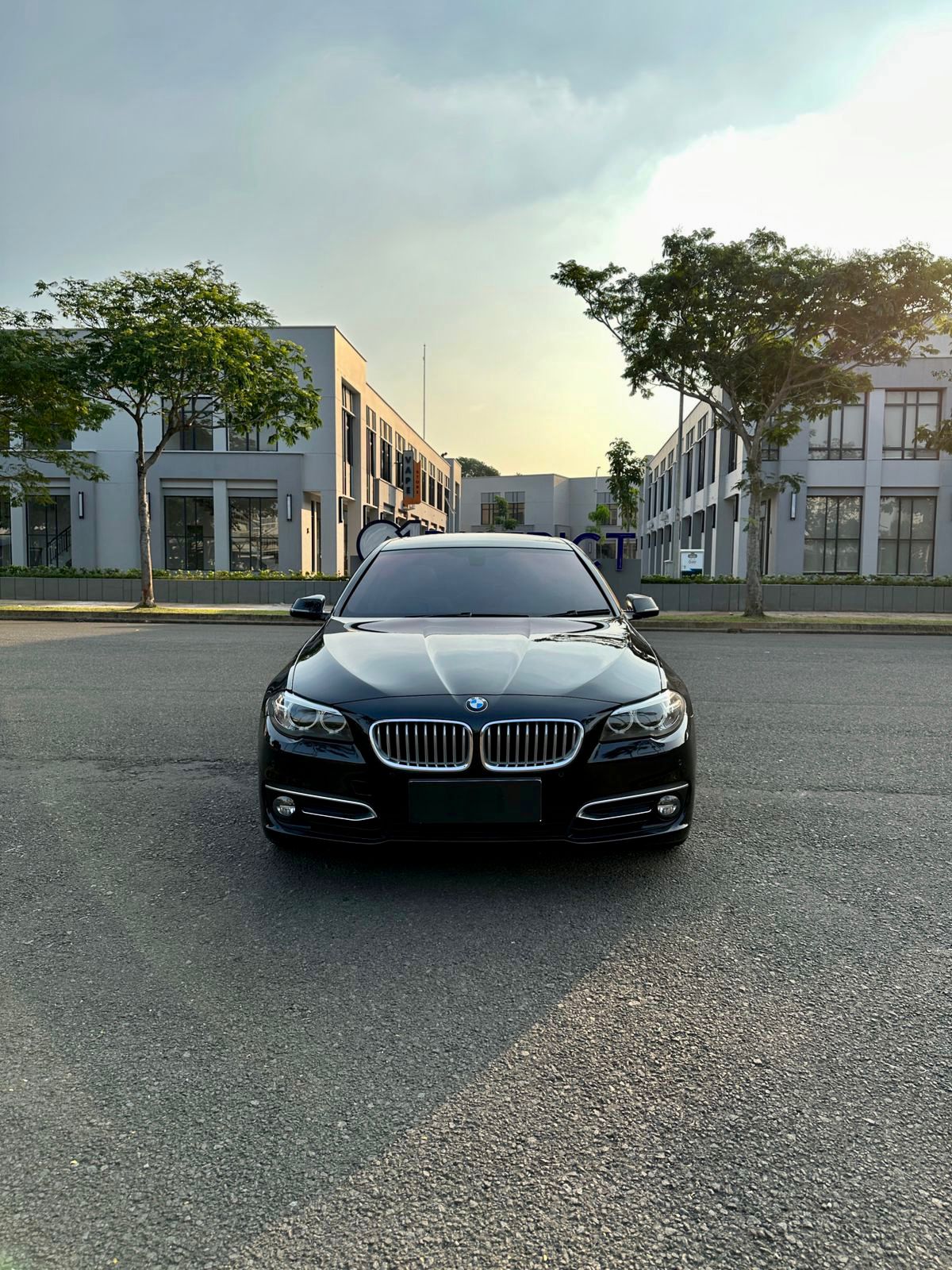2014 BMW 5 Series Sedan  520 D