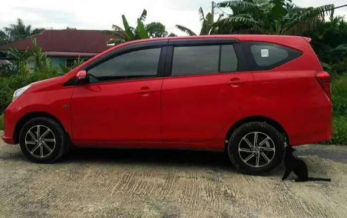 2021 Toyota Calya 2021 Toyota Calya