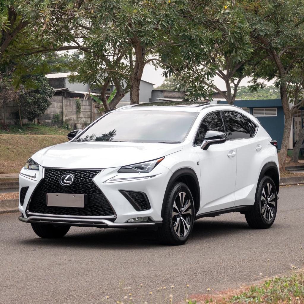 2018 Lexus NX 300 F-SPORT Bekas 2018 Lexus NX 300 F-SPORT Bekas