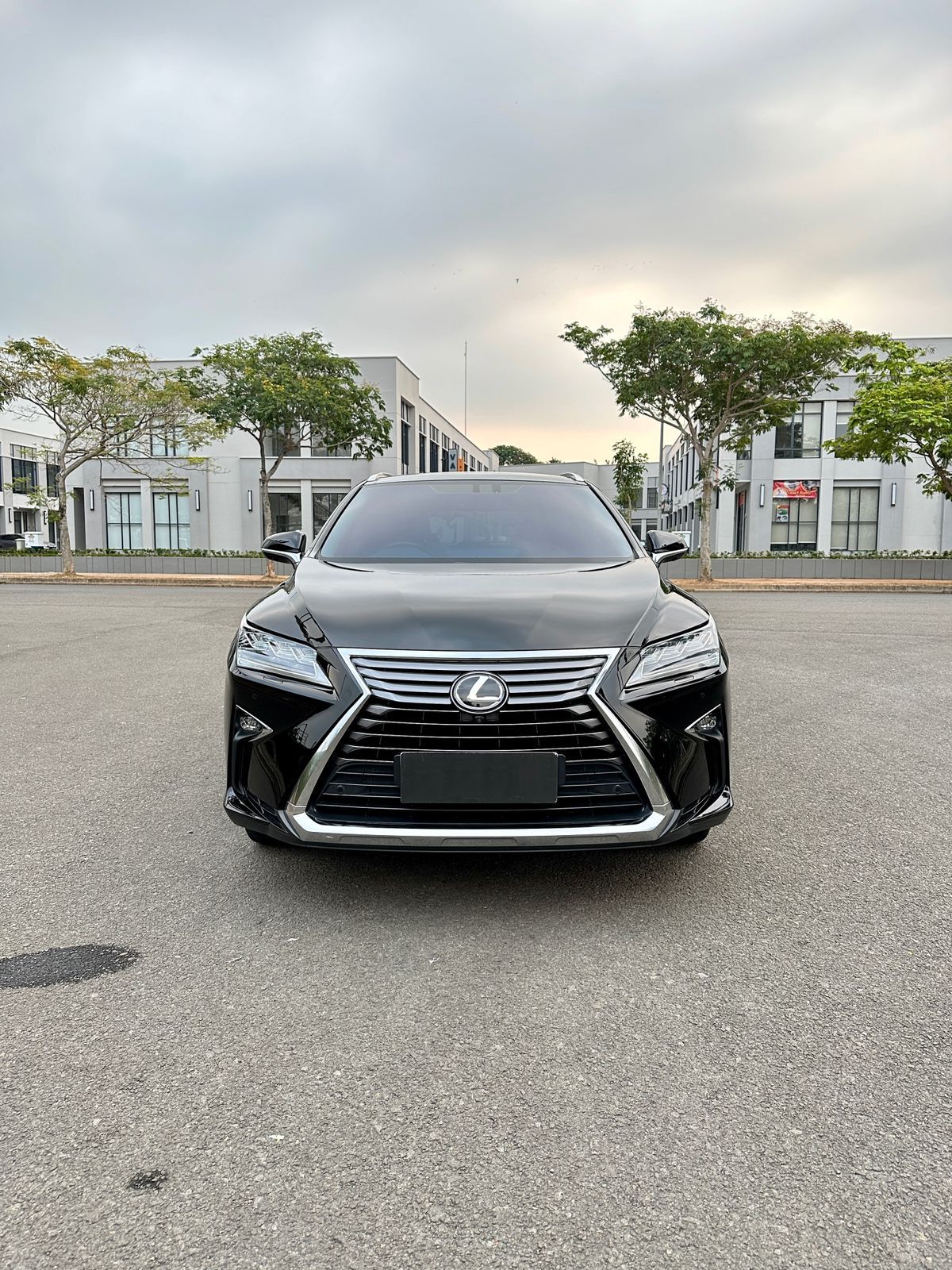 2016 Lexus RX 200T Luxury 4x2 AT 2016 Lexus RX 200T Luxury 4x2 AT