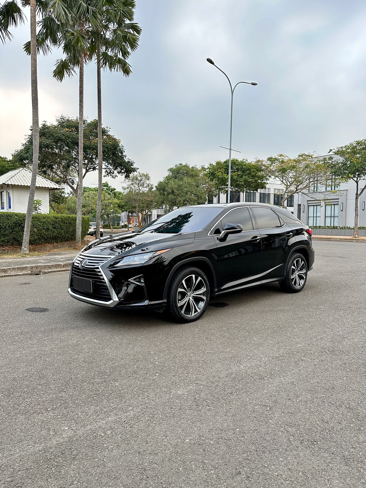 2016 Lexus RX 200T Luxury 4x2 AT 2016 Lexus RX 200T Luxury 4x2 AT