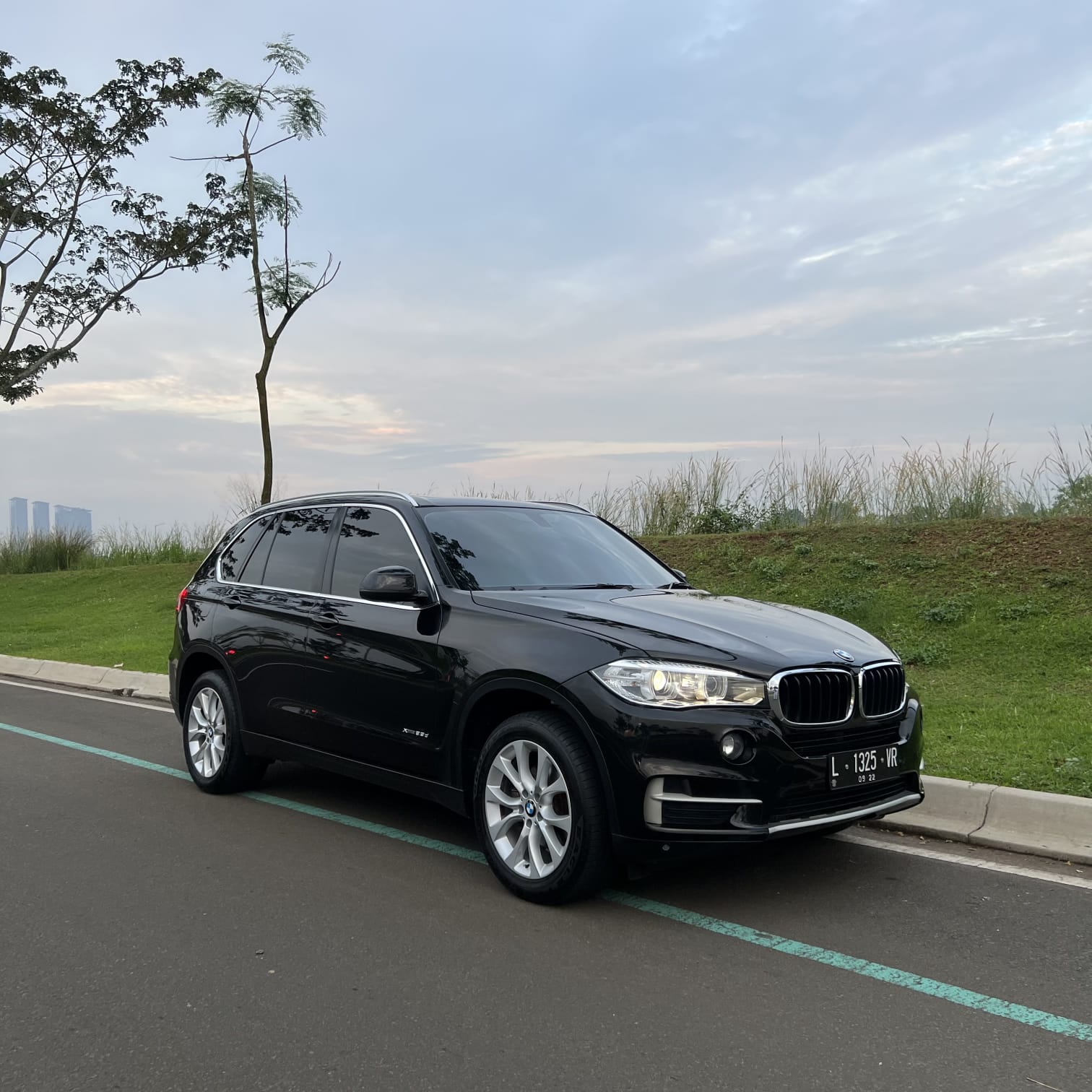 Second Hand 2017 BMW X5  xDrive25d Second Hand 2017 BMW X5  xDrive25d