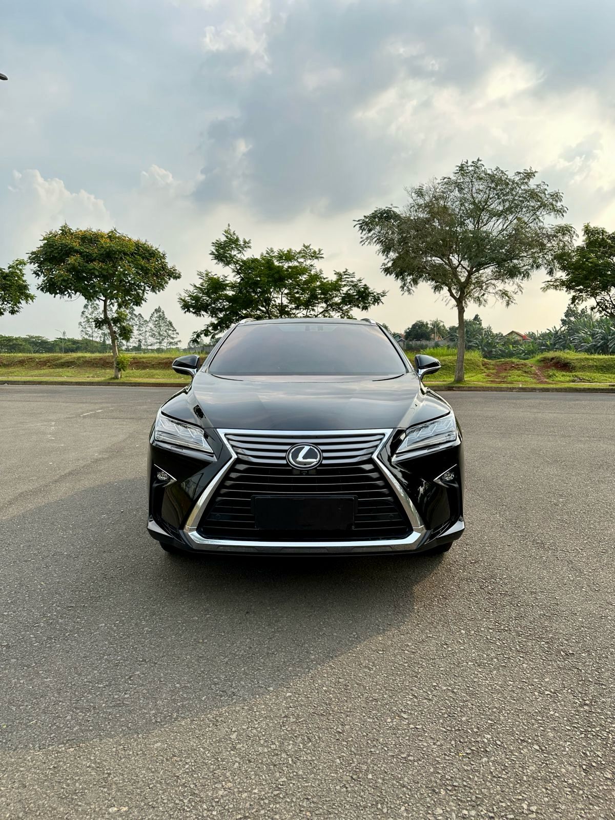 2017 Lexus RX 200t F Sport 2017 Lexus RX 200t F Sport