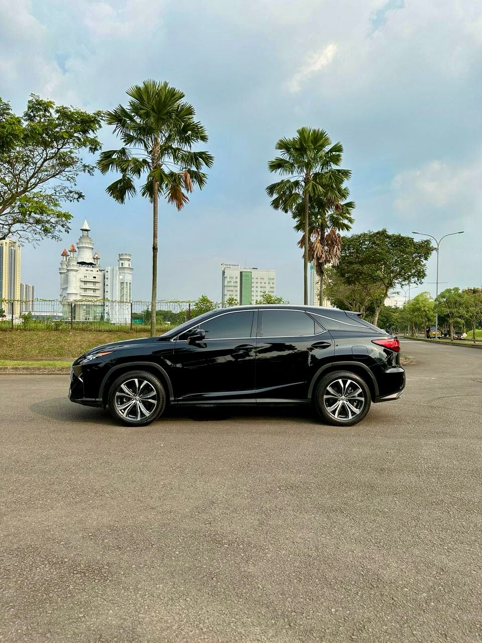 2017 Lexus RX 200t F Sport 2017 Lexus RX 200t F Sport