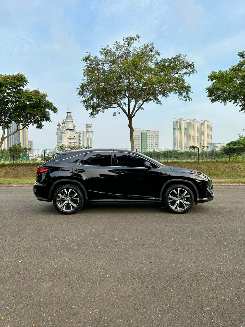 2017 Lexus RX 200t F Sport 2017 Lexus RX 200t F Sport