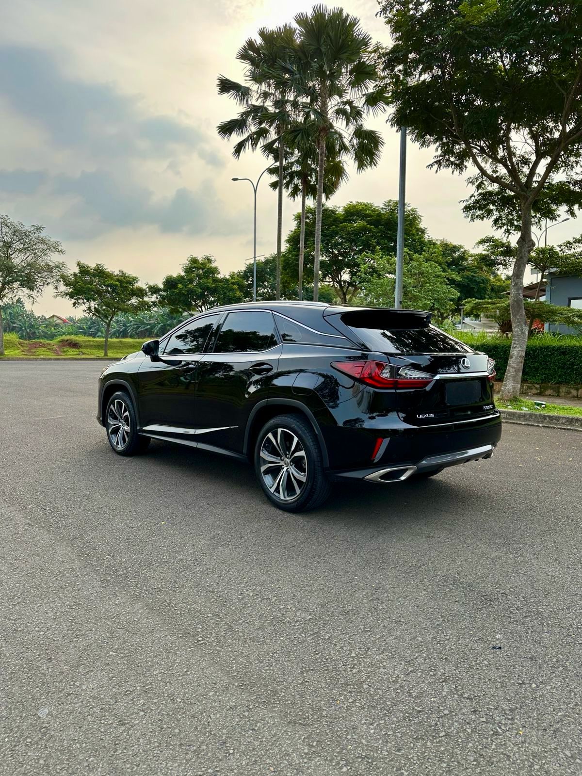 2017 Lexus RX 200t F Sport 2017 Lexus RX 200t F Sport