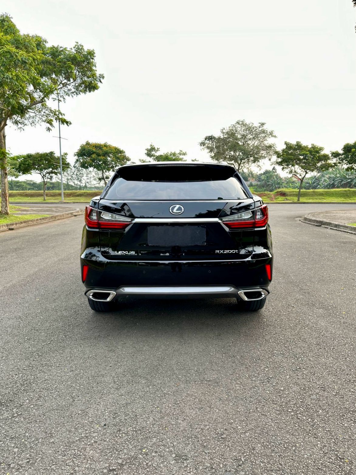 2017 Lexus RX 200t F Sport 2017 Lexus RX 200t F Sport