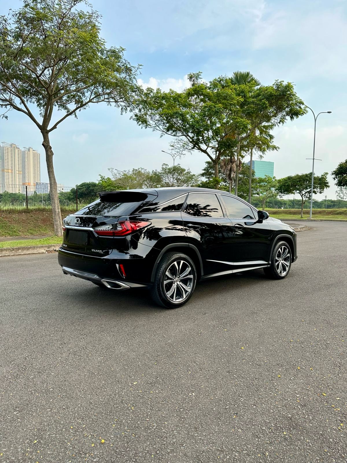 2017 Lexus RX 200t F Sport 2017 Lexus RX 200t F Sport