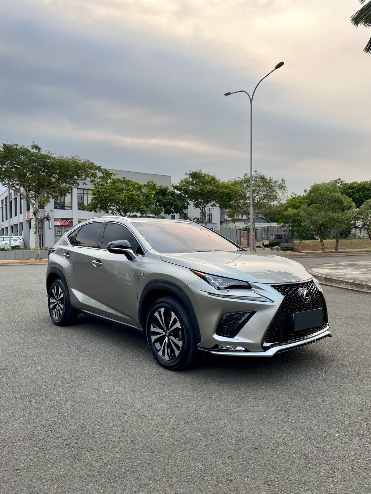 2018 Lexus NX 300 F-Sport 2018 Lexus NX 300 F-Sport