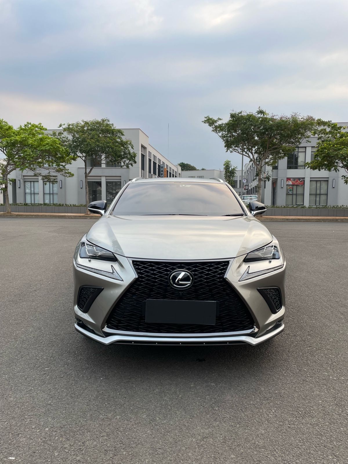 2018 Lexus NX 300 F-Sport Bekas 2018 Lexus NX 300 F-Sport Bekas