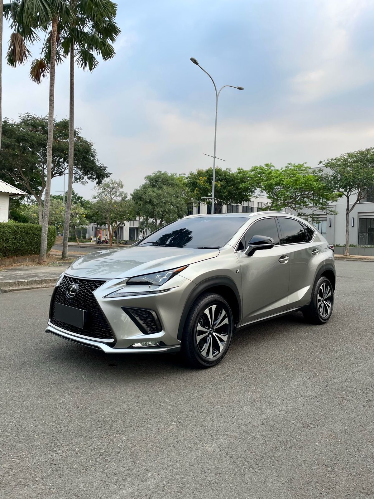 2018 Lexus NX 300 F-Sport 2018 Lexus NX 300 F-Sport