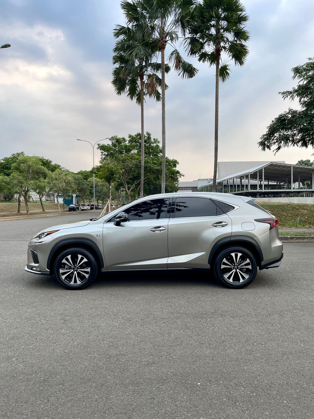 2018 Lexus NX 300 F-Sport 2018 Lexus NX 300 F-Sport