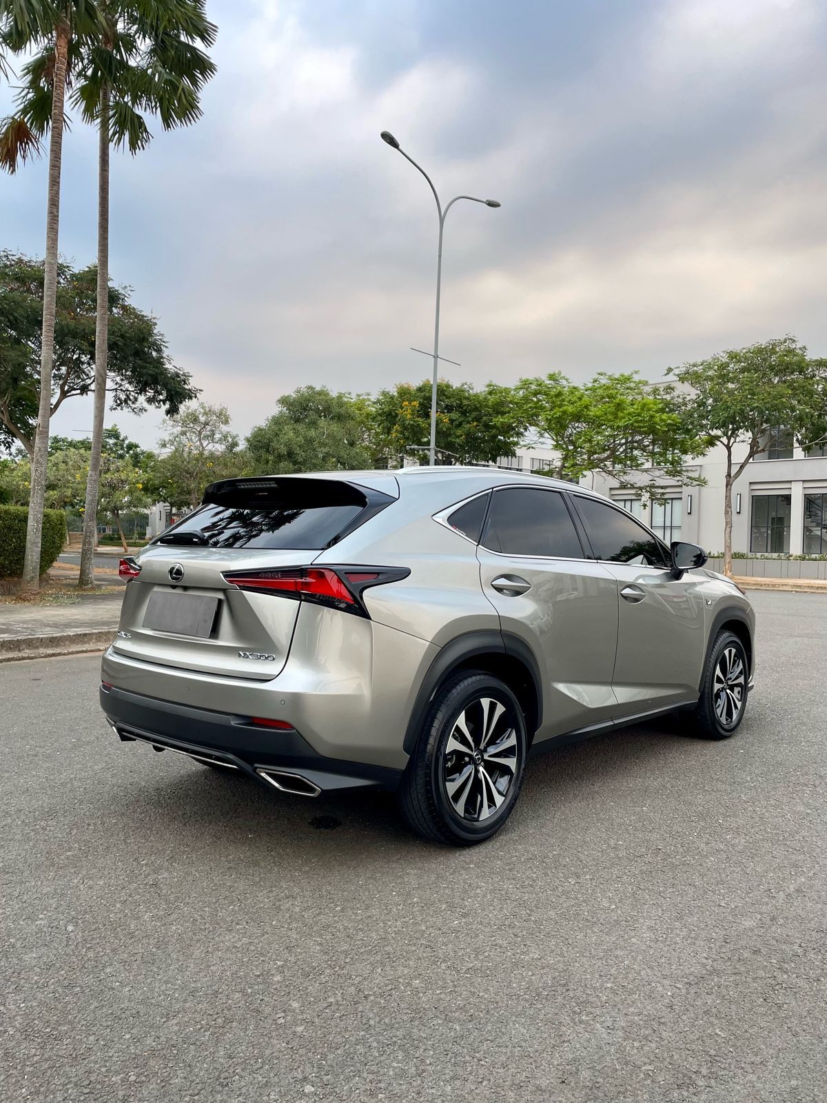 2018 Lexus NX 300 F-Sport 2018 Lexus NX 300 F-Sport