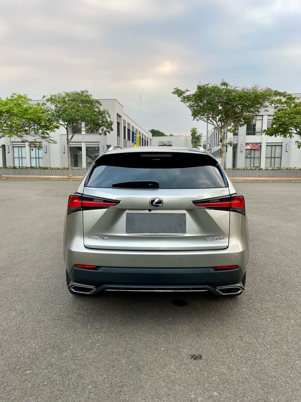 2018 Lexus NX 300 F-Sport 2018 Lexus NX 300 F-Sport