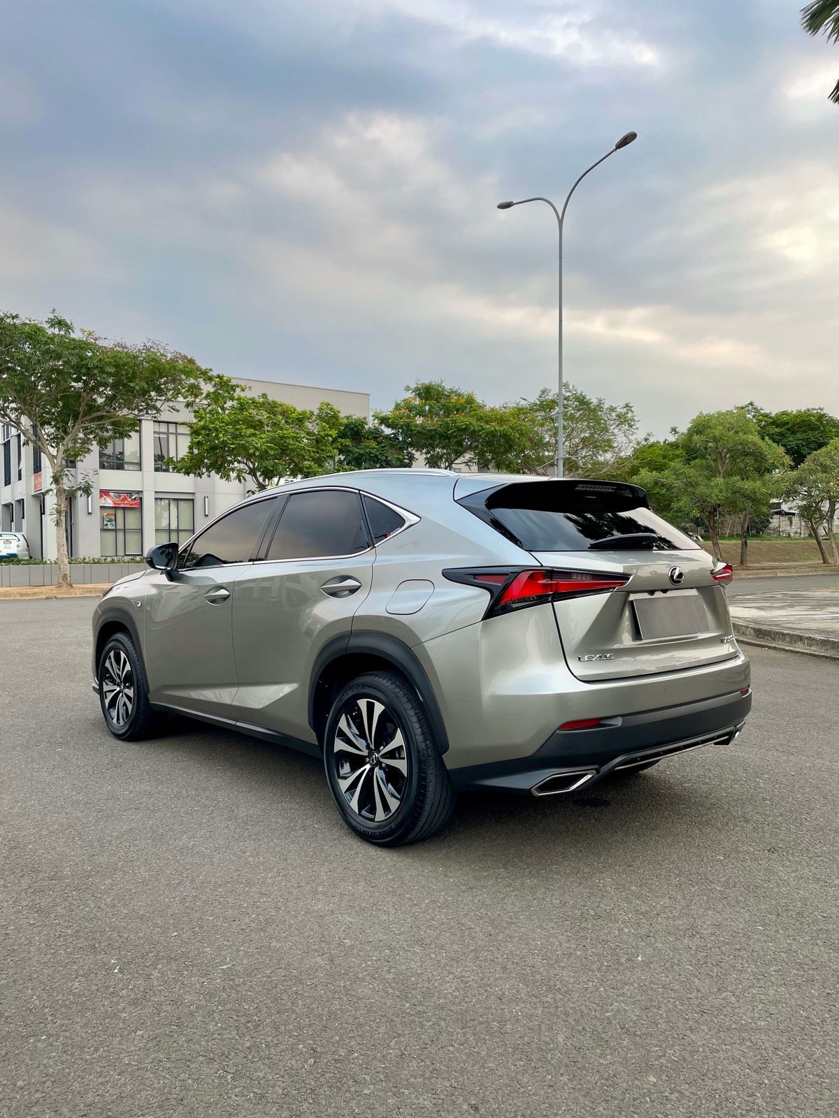 2018 Lexus NX 300 F-Sport 2018 Lexus NX 300 F-Sport