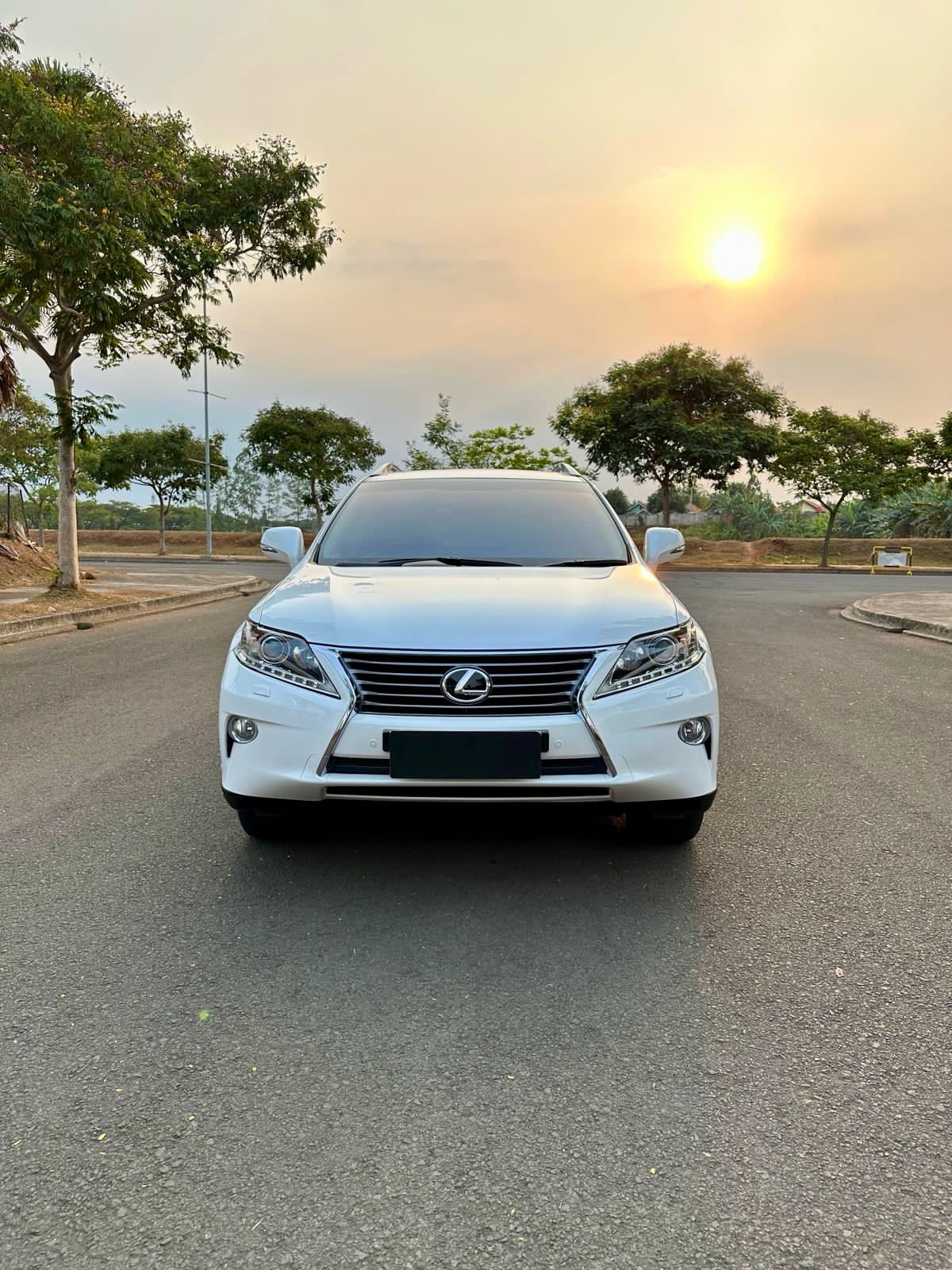 Second Hand 2014 Lexus RX 270 2.7 AT Second Hand 2014 Lexus RX 270 2.7 AT