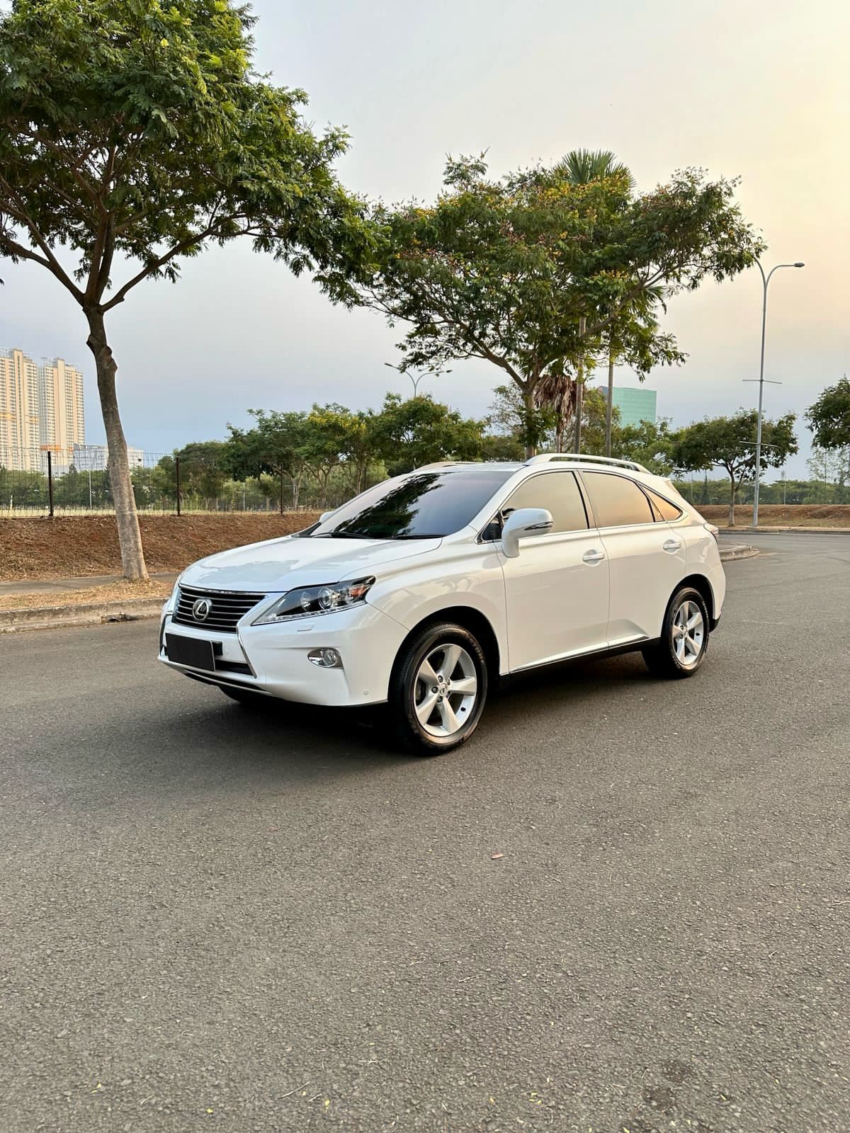 2014 Lexus RX 270 2.7 AT 2014 Lexus RX 270 2.7 AT