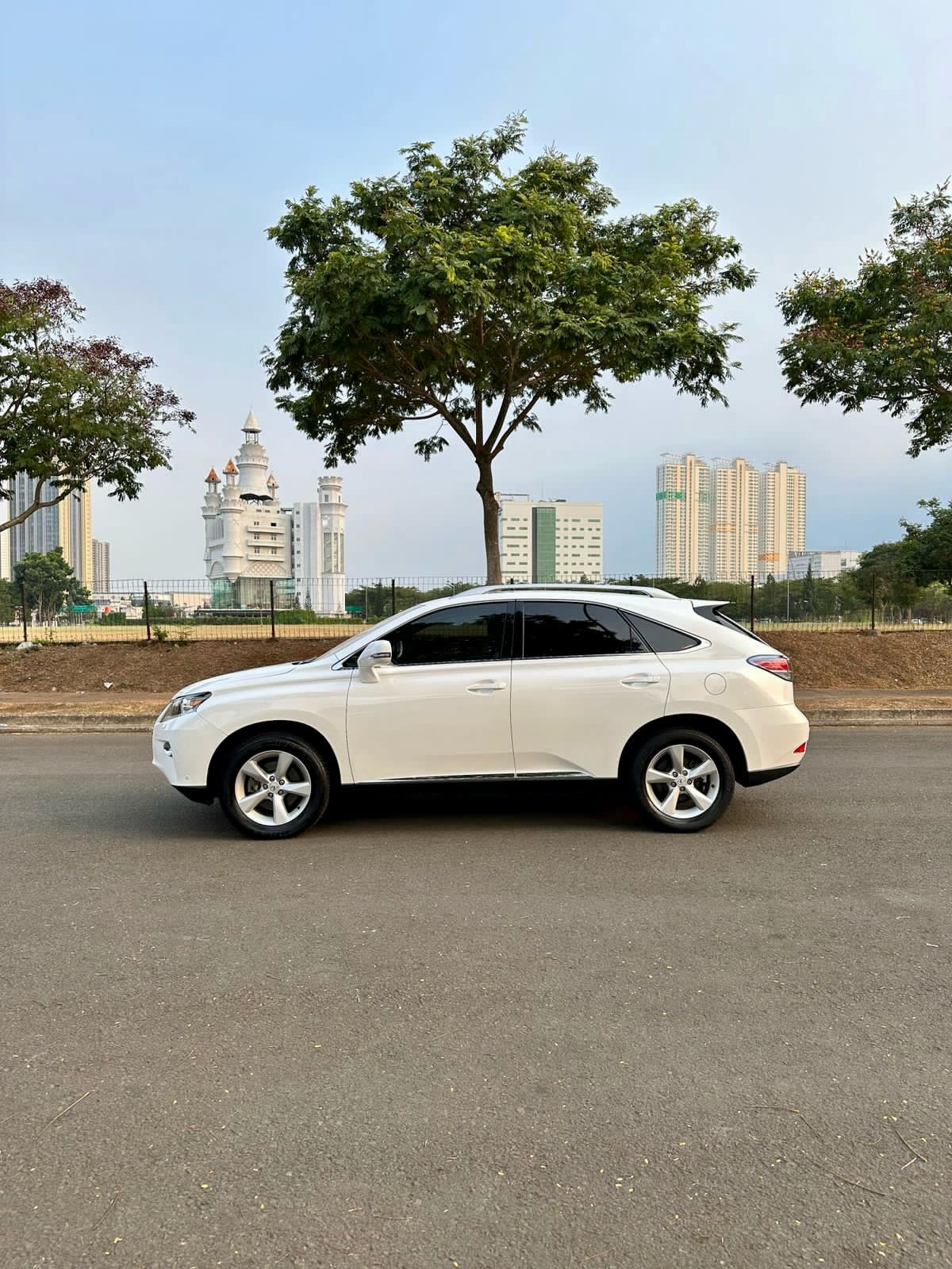 2014 Lexus RX 270 2.7 AT 2014 Lexus RX 270 2.7 AT