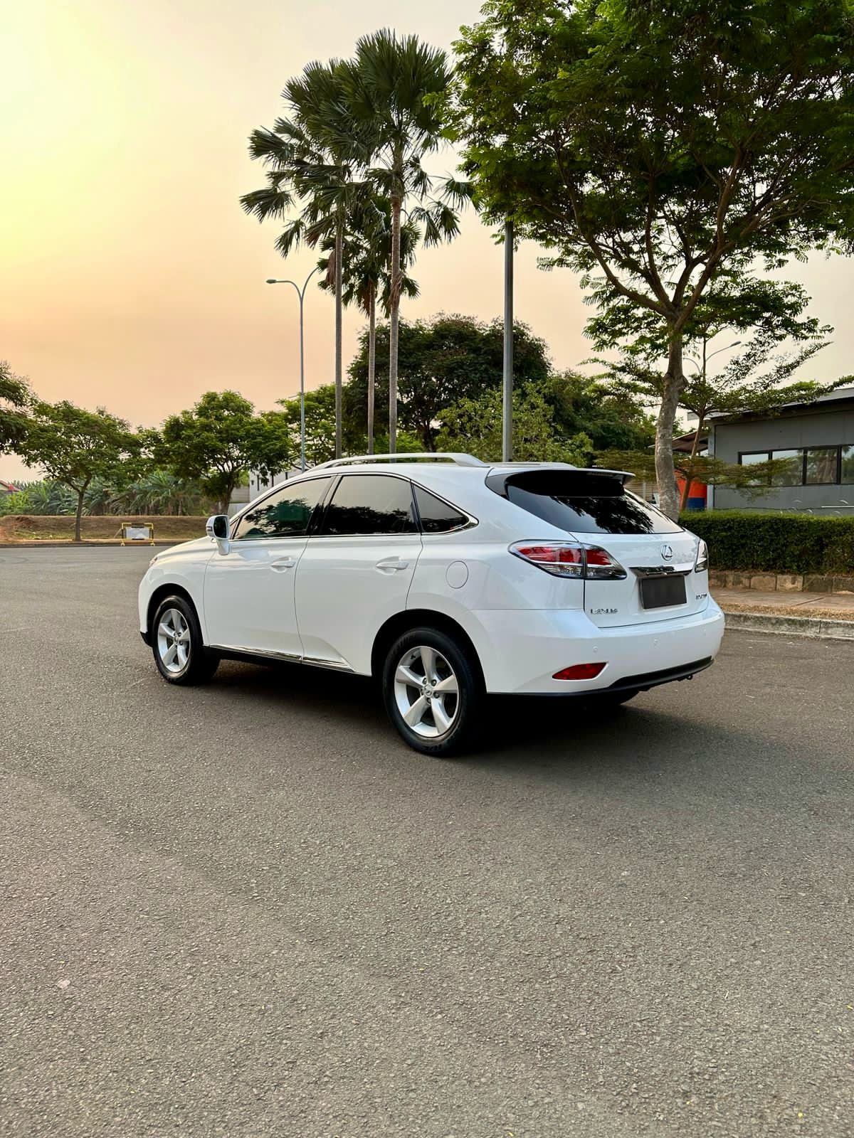 2014 Lexus RX 270 2.7 AT 2014 Lexus RX 270 2.7 AT