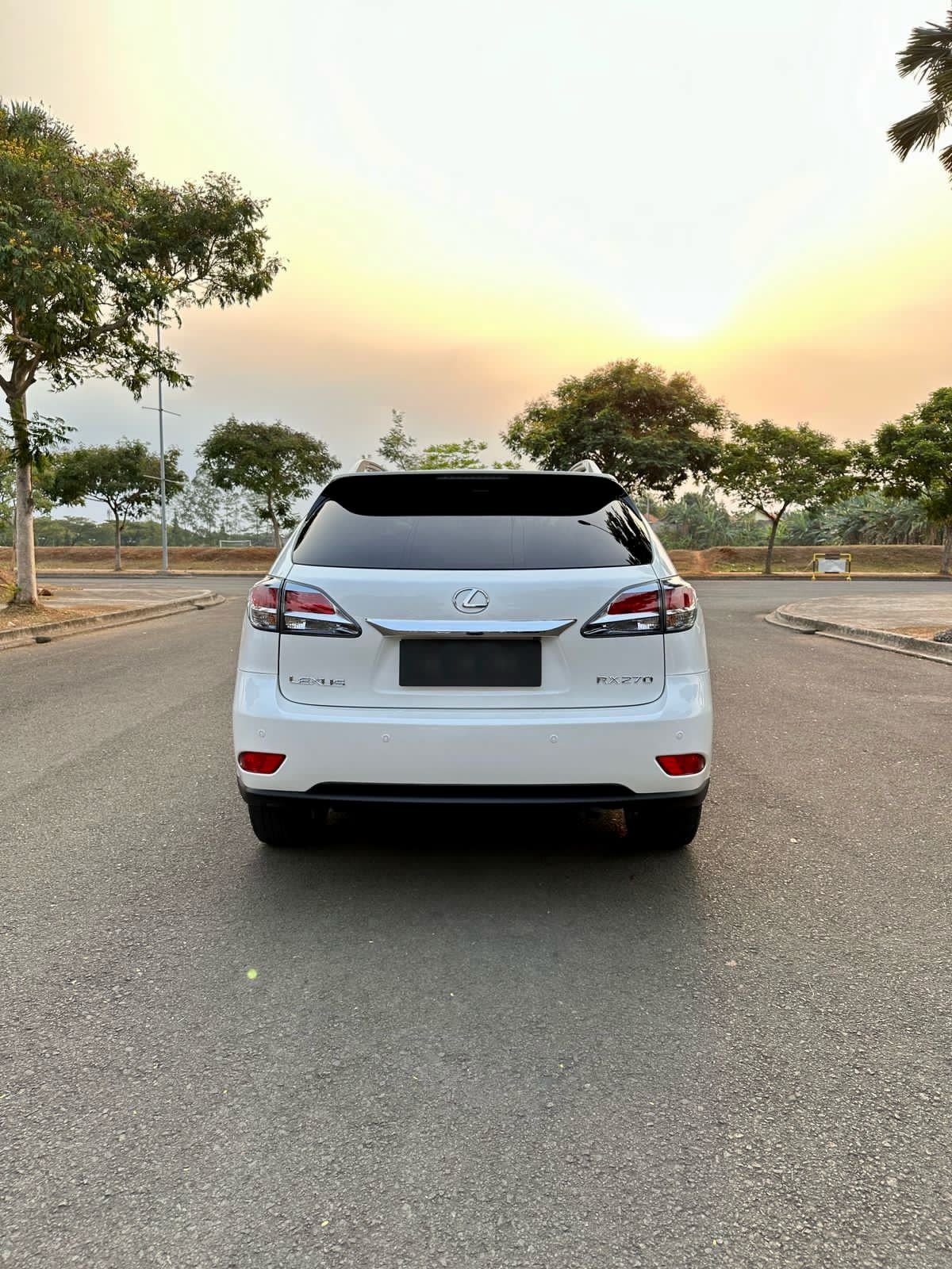 2014 Lexus RX 270 2.7 AT 2014 Lexus RX 270 2.7 AT