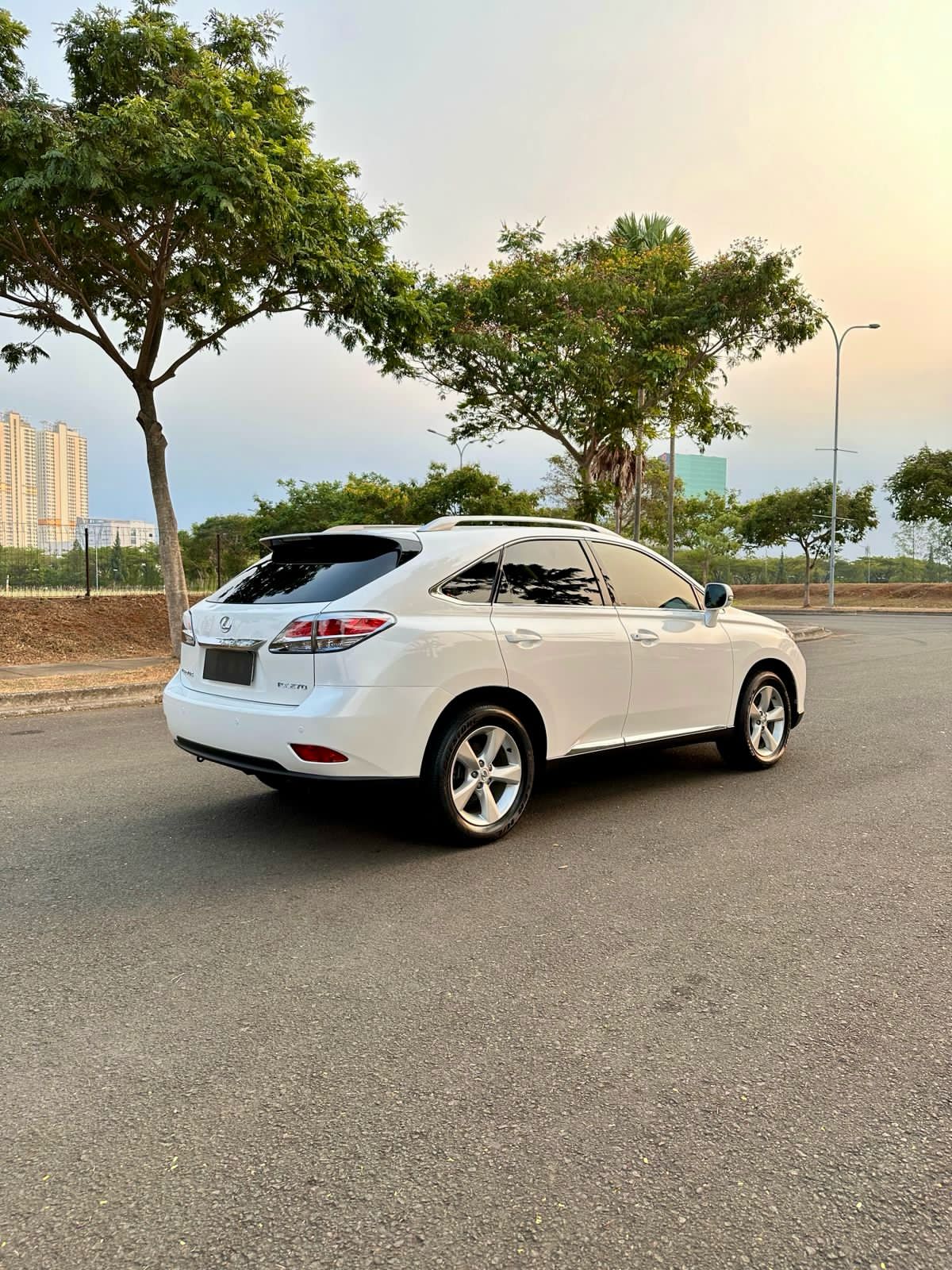 2014 Lexus RX 270 2.7 AT 2014 Lexus RX 270 2.7 AT