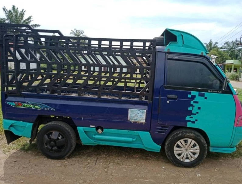 2011 Suzuki Carry  St150futuramanual St150futuramanual tua