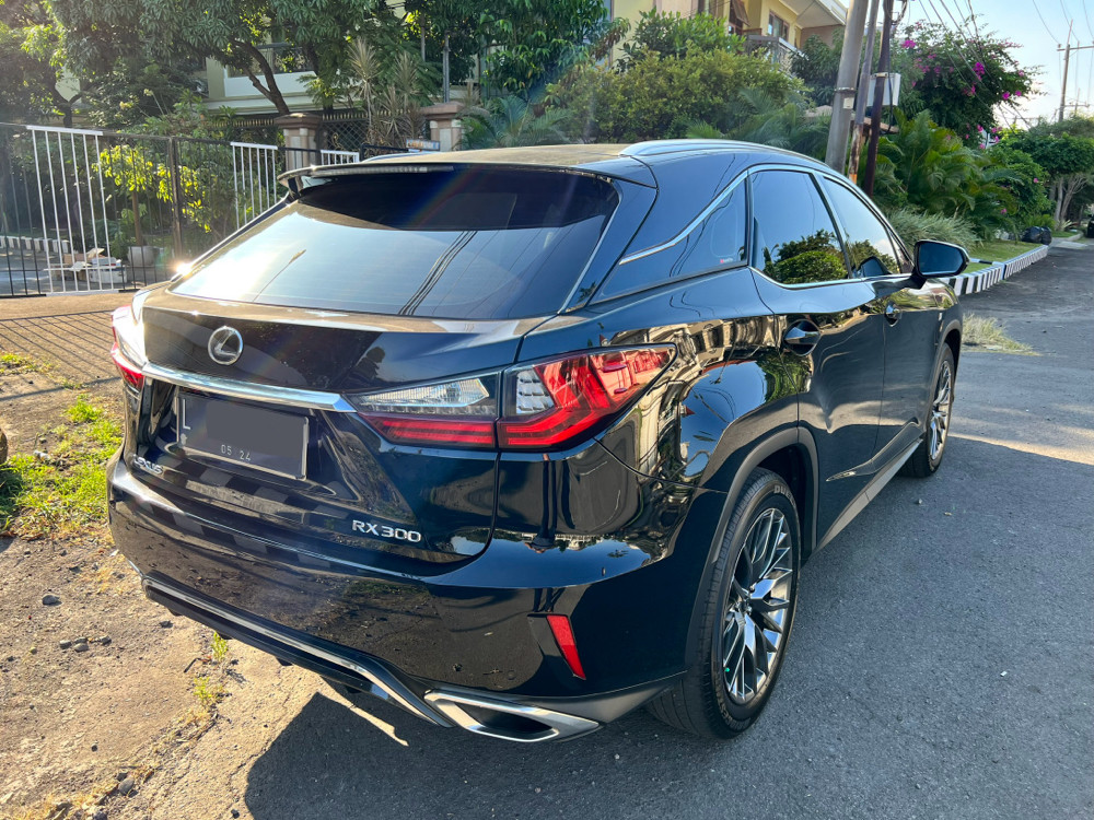 2019 Lexus RX 2019 Lexus RX