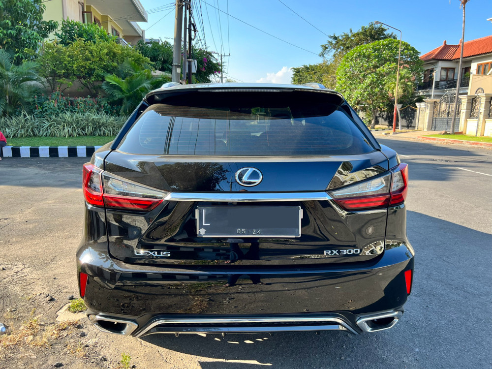 2019 Lexus RX 2019 Lexus RX