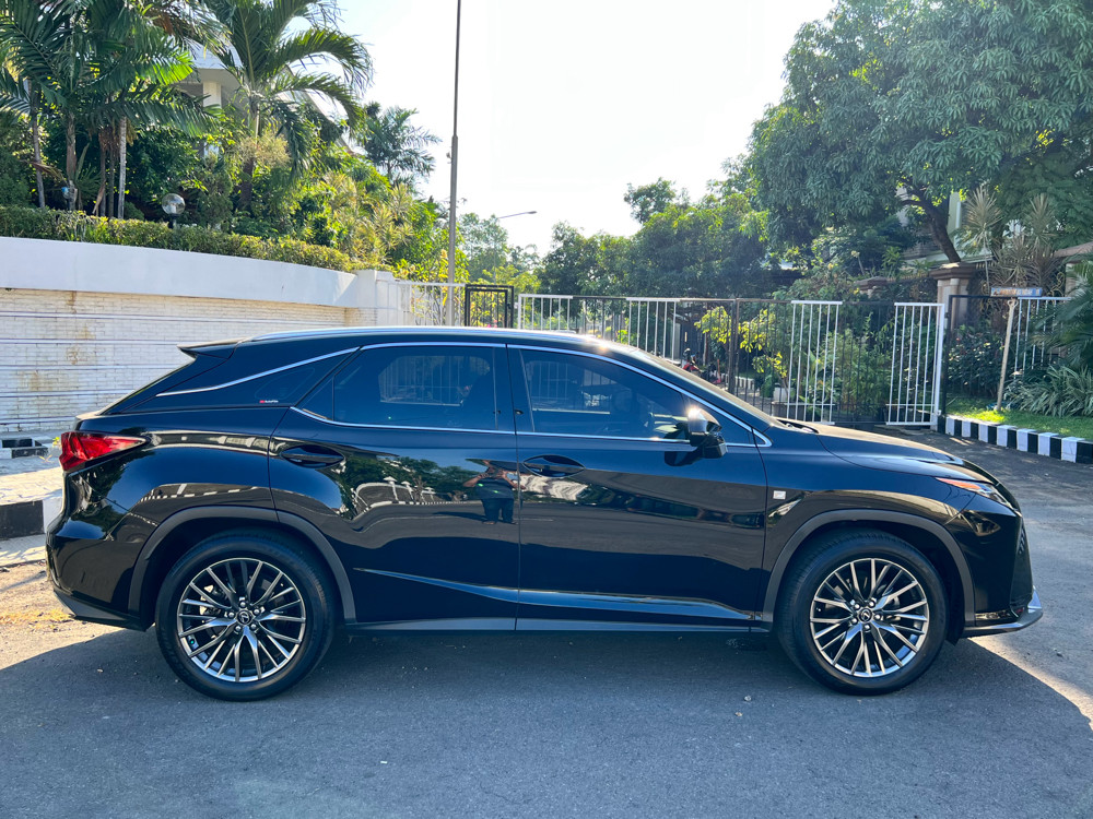 2019 Lexus RX 2019 Lexus RX