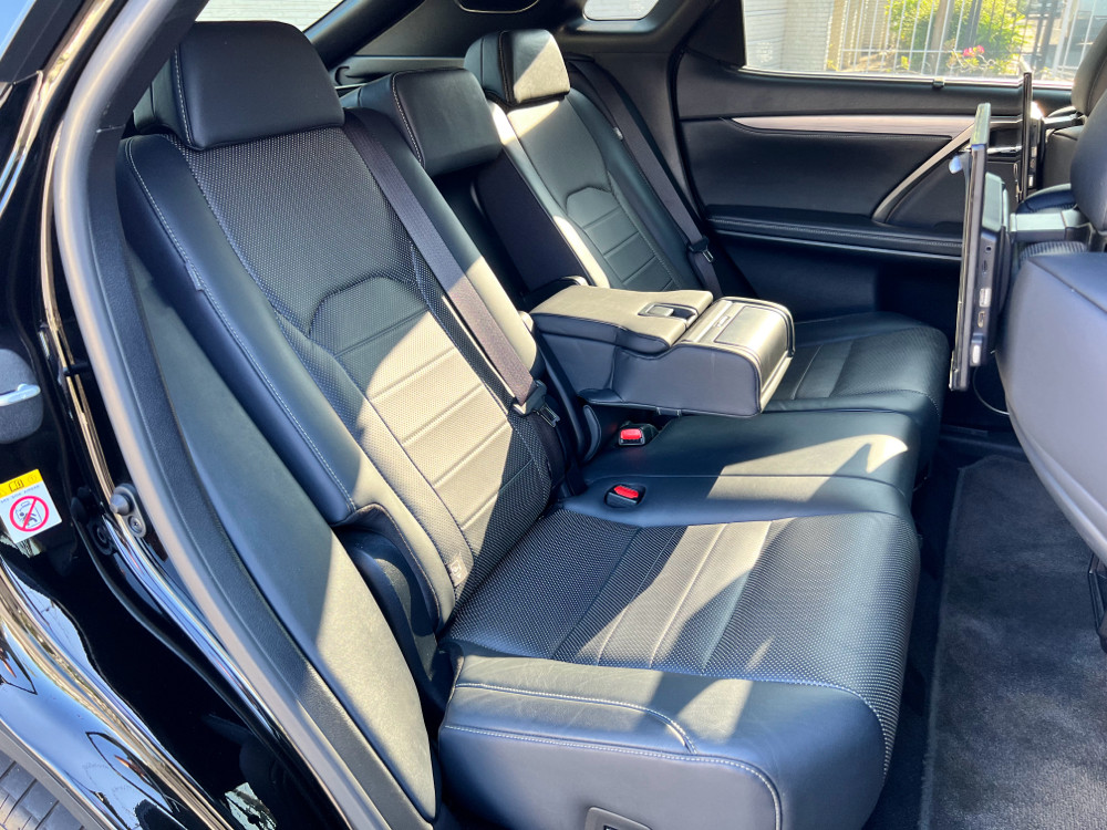 2019 Lexus RX 2019 Lexus RX