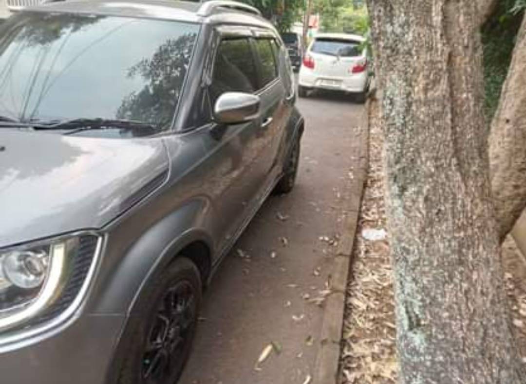 2019 Suzuki Ignis 2019 Suzuki Ignis