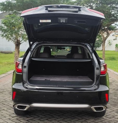 2016 Lexus RX 2016 Lexus RX