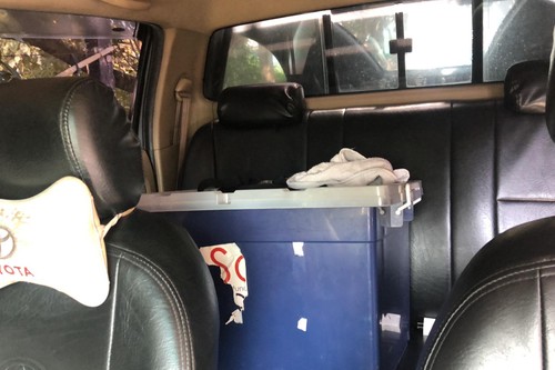 Used 2010 Toyota Hilux 2.5 G 4x2 MT