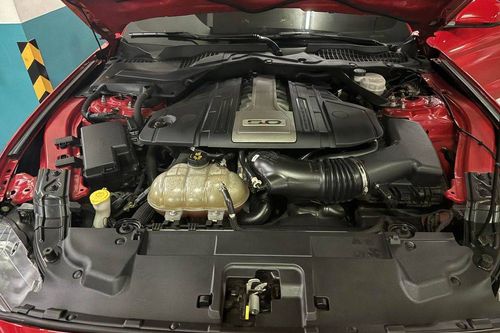 Used 2019 Ford Mustang 5.0L GT Premium V8