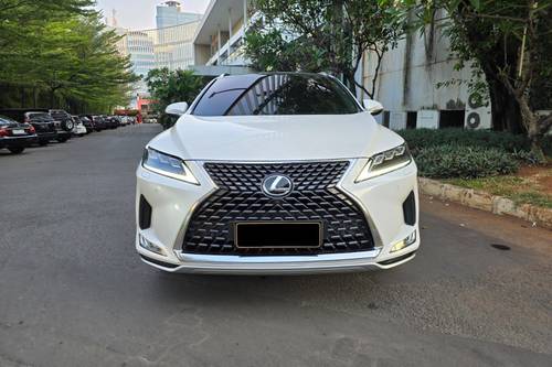 2021 Lexus RX 300 Luxury bekas