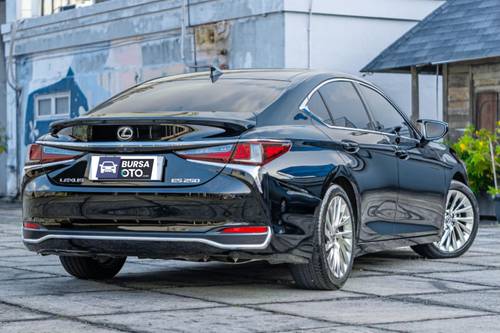 2019 Lexus ES 250 tua